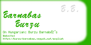 barnabas burzu business card